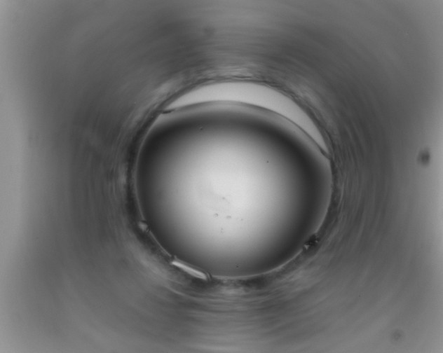 X0000092110260200709191334