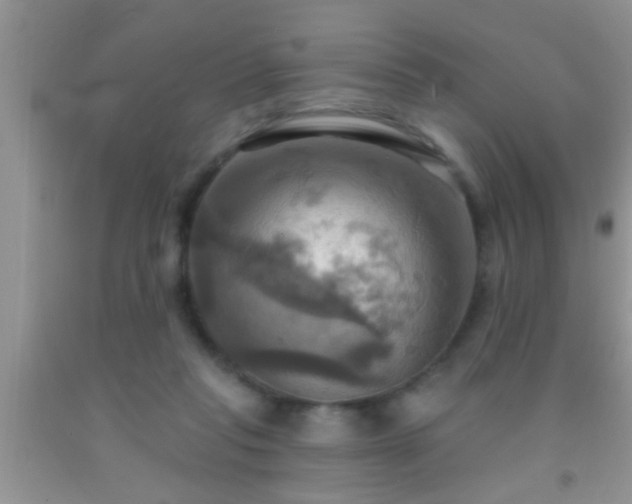 X0000092110261200709191334