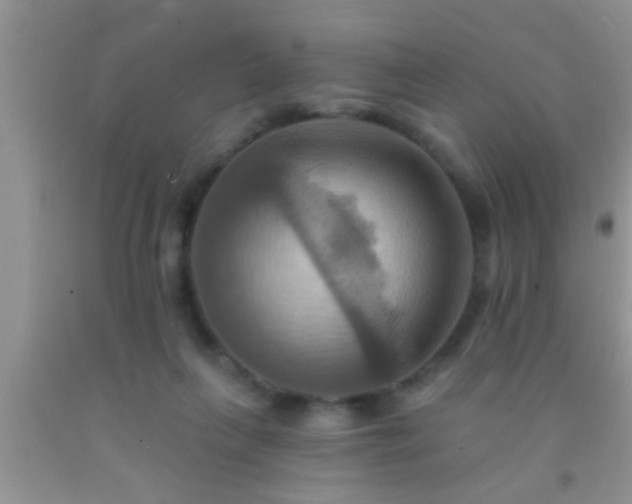 X0000092110263200709191334