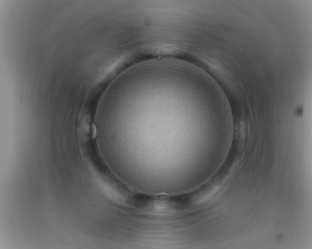 X0000092110264200709191334