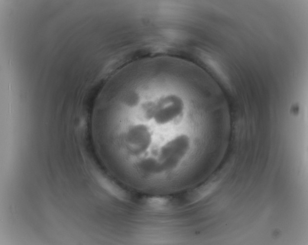 X0000092110265200709191334