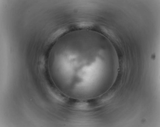 X0000092110266200709191334