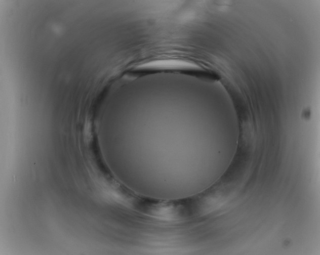 X0000092110267200709191334