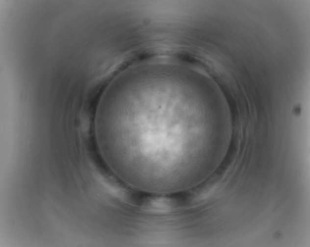 X0000092110268200709191334