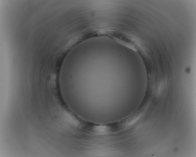 X0000092110269200709191334