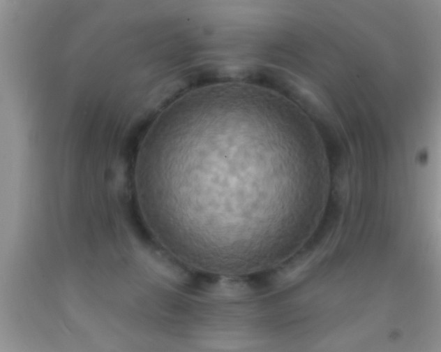 X0000092110270200709191334