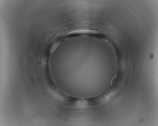 X0000092110271200709191334