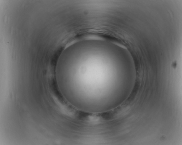 X0000092110272200709191334