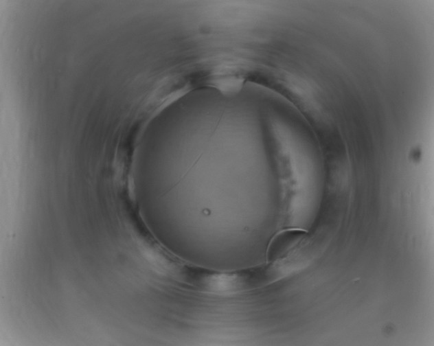 X0000092110273200709191334