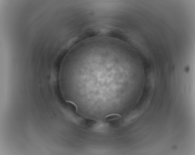 X0000092110274200709191334