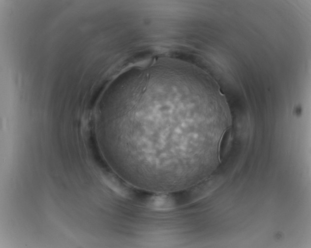 X0000092110275200709191334