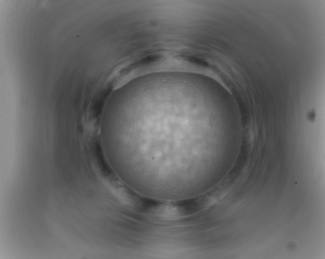 X0000092110276200709191334