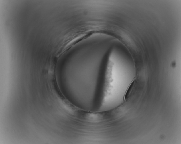 X0000092110277200709191334