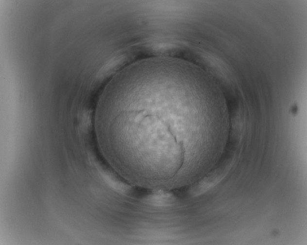 X0000092110278200709191334