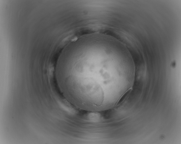 X0000092110279200709191334