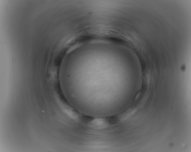 X0000092110280200709191334