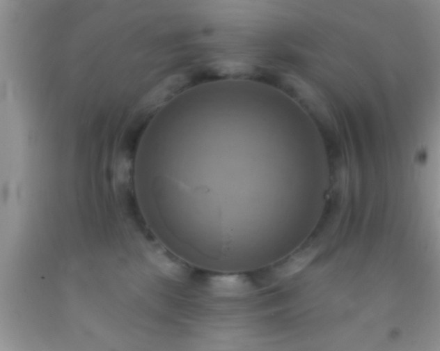 X0000092110281200709191334