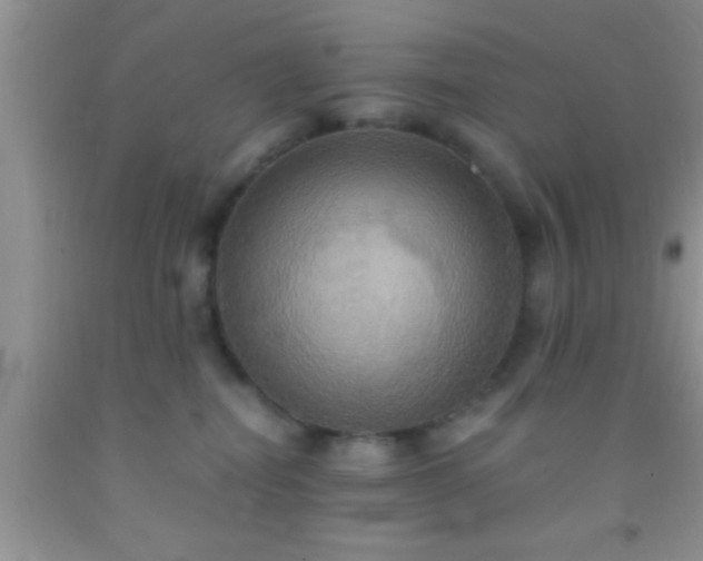 X0000092110282200709191334