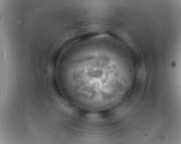 X0000092110283200709191334