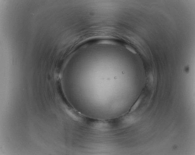 X0000092110284200709191334