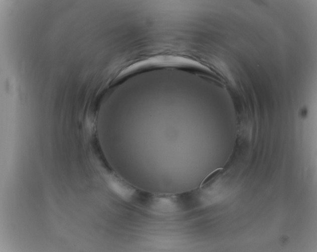 X0000092110285200709191334