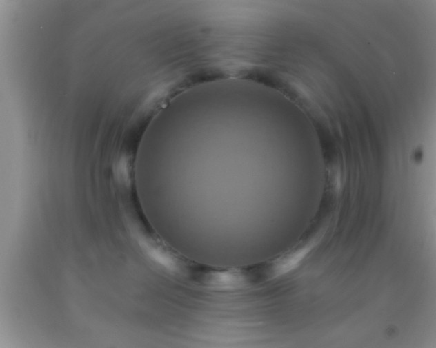 X0000092110286200709191334