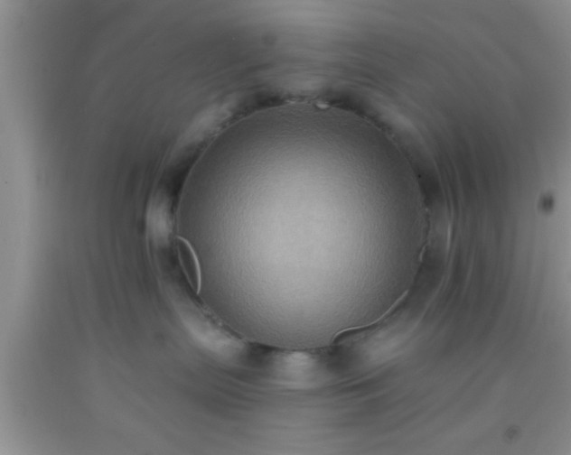 X0000092110287200709191334