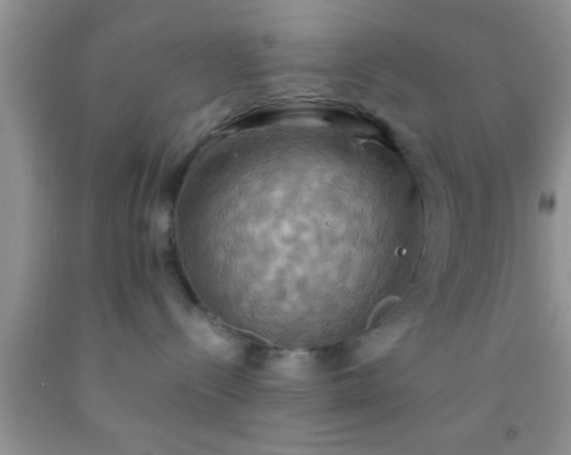 X0000092110288200709191334