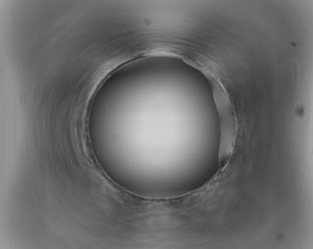 X0000092110289200709191334