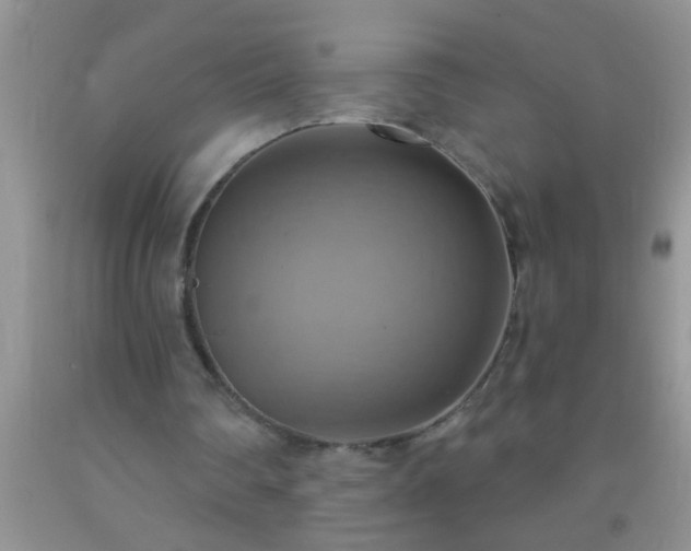 X0000092110290200709191334