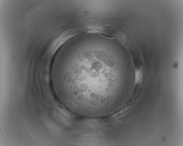 X0000092110291200709191334