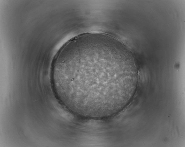 X0000092110292200709191334