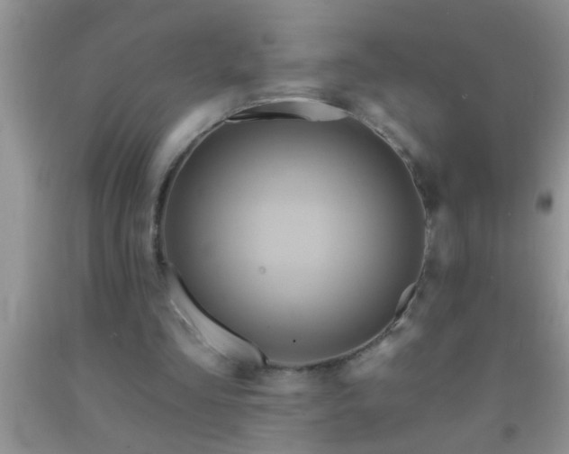 X0000092110293200709191334