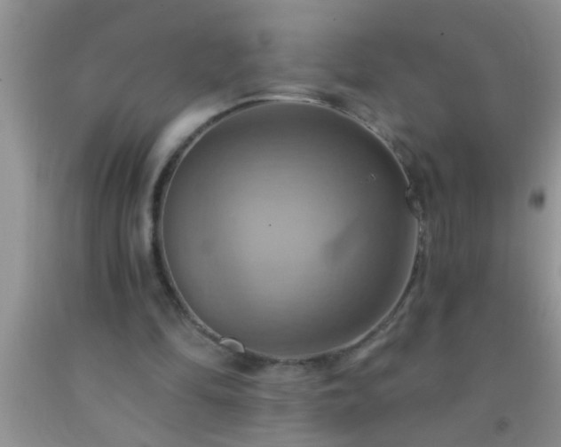 X0000092110294200709191334