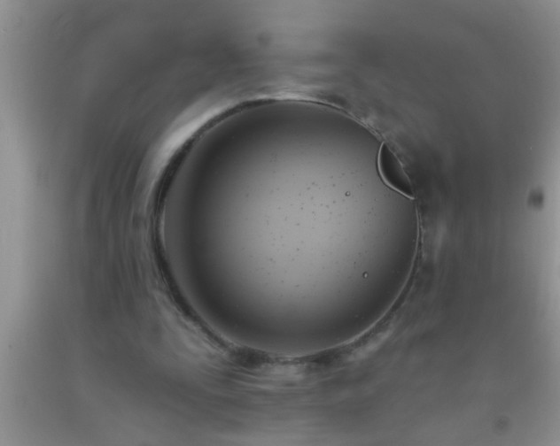 X0000092110295200709191334