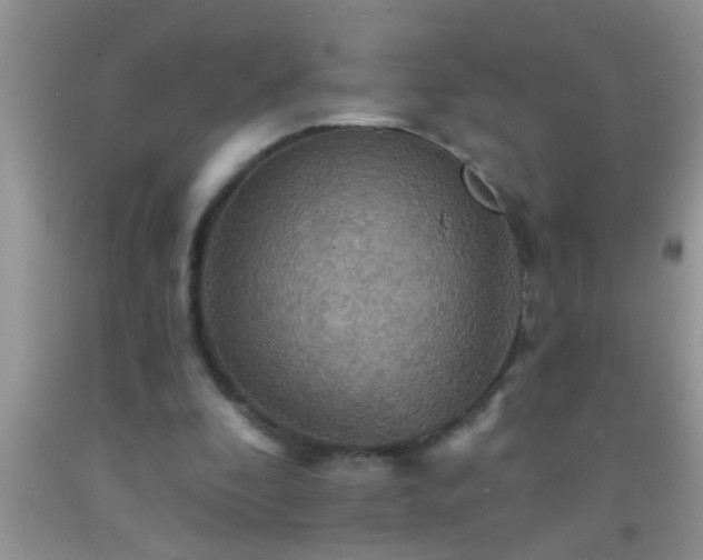 X0000092110296200709191333