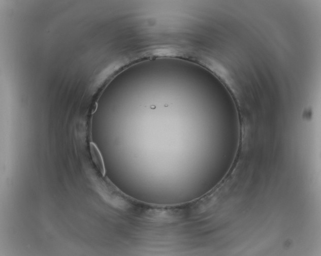 X0000092110297200709191333