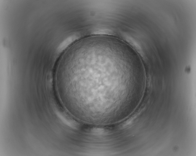 X0000092110298200709191333