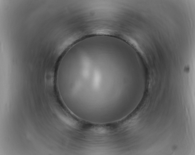 X0000092110299200709191333