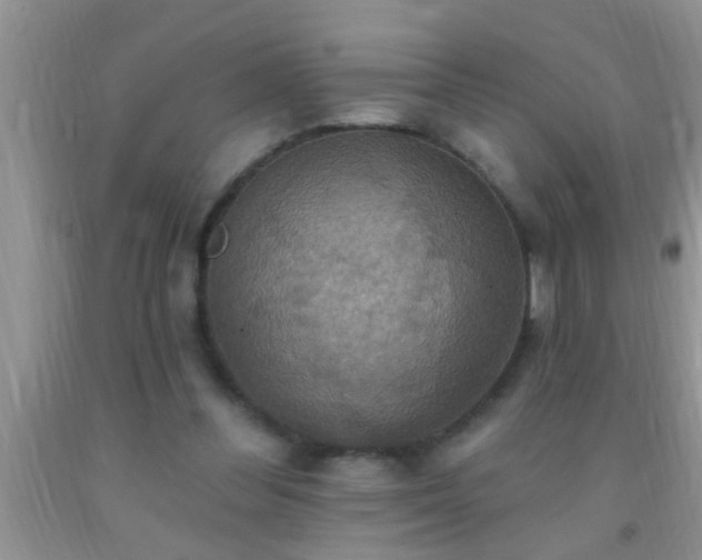 X0000092110300200709191333