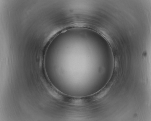 X0000092110301200709191333