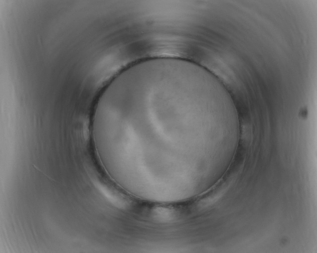 X0000092110302200709191333