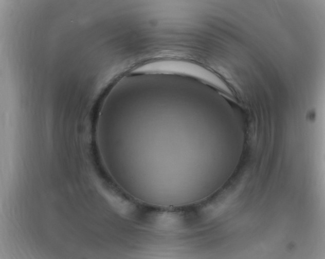 X0000092110303200709191333