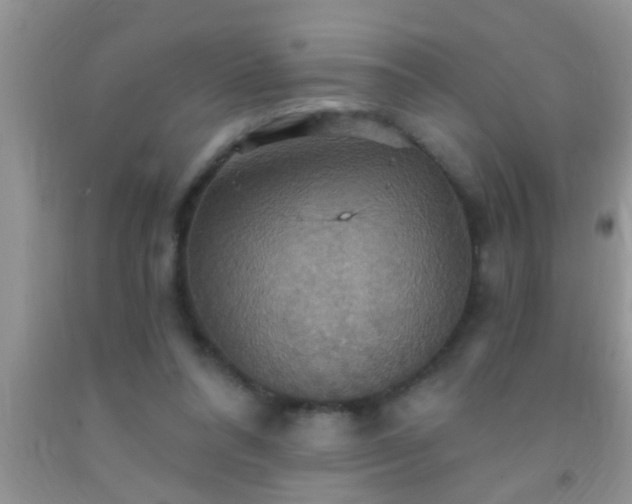 X0000092110304200709191333