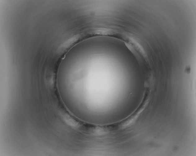 X0000092110305200709191333