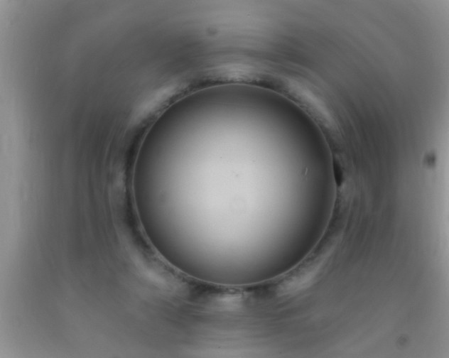 X0000092110306200709191333