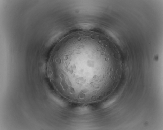 X0000092110307200709191333