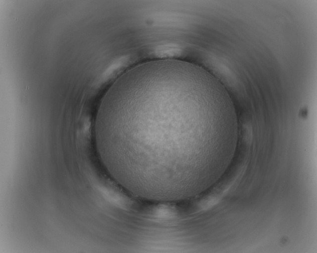 X0000092110308200709191333