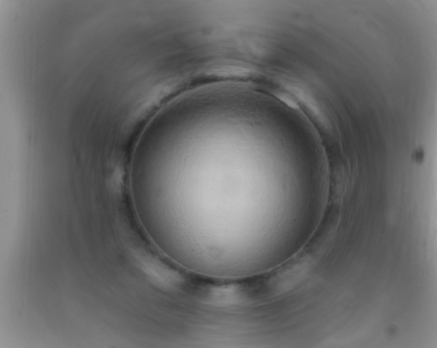 X0000092110309200709191333