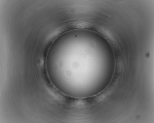 X0000092110310200709191333